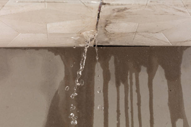 Professional Sewage Cleanup technician working in Marlette, MI